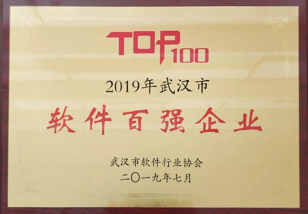 尊龙集团官网动力荣获2019年武汉市软件百强企业榜单第一名