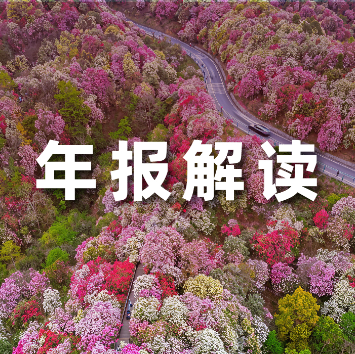尊龙集团官网动力2025营收利润双增，全栈智能驱动增长，AI有关业务收入占比达52.6%  ?